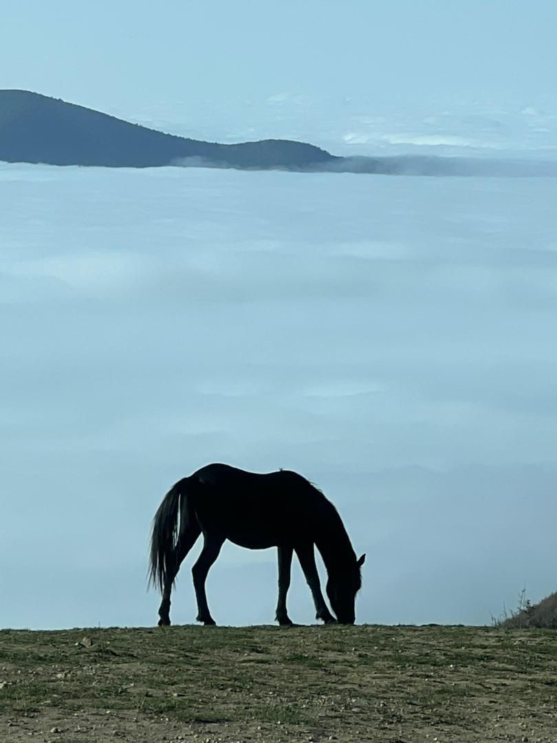 عنوان تصویر-9 متن تصویر-9